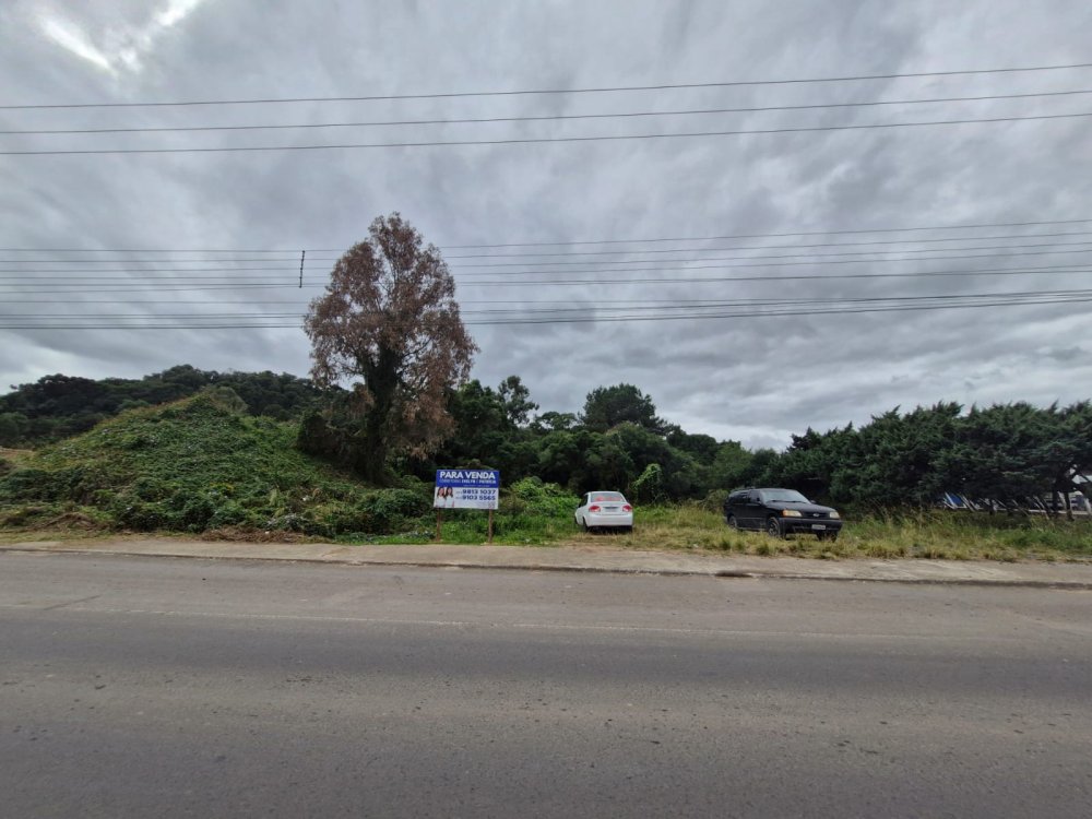 Terreno - Venda - Frei Rogrio - Lages - SC